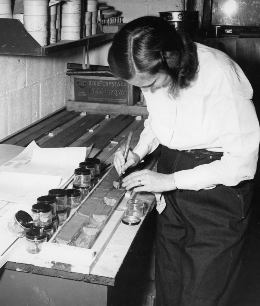 Female oceanographic scientist examines a core sample of sediment collected in glass jars, in her laboratory. 